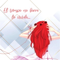 El tiempo no borra lo vivido - Single - Luis Meza