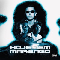 Hoje tem Marengo (feat. MC Neguinho PRT, MC Nego Micha & DJ TC) - Single - MC Gabriell