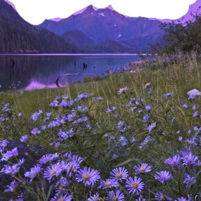 sunset & roses - Single