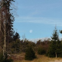 never mind the time - Single - Sebastian Jautschus