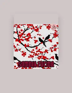 Gavinを聴いたり、ミュージックビデオを鑑賞したり、経歴やツアー日程などを確認したりしましょう！