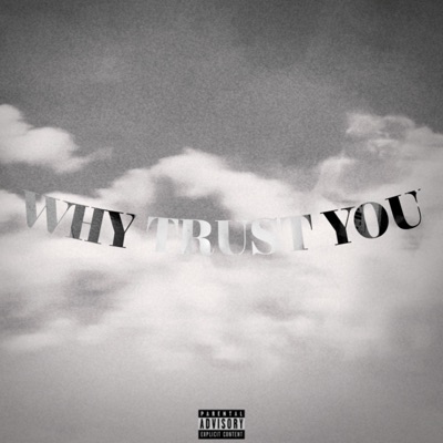 WHY TRUST YOU - Single
