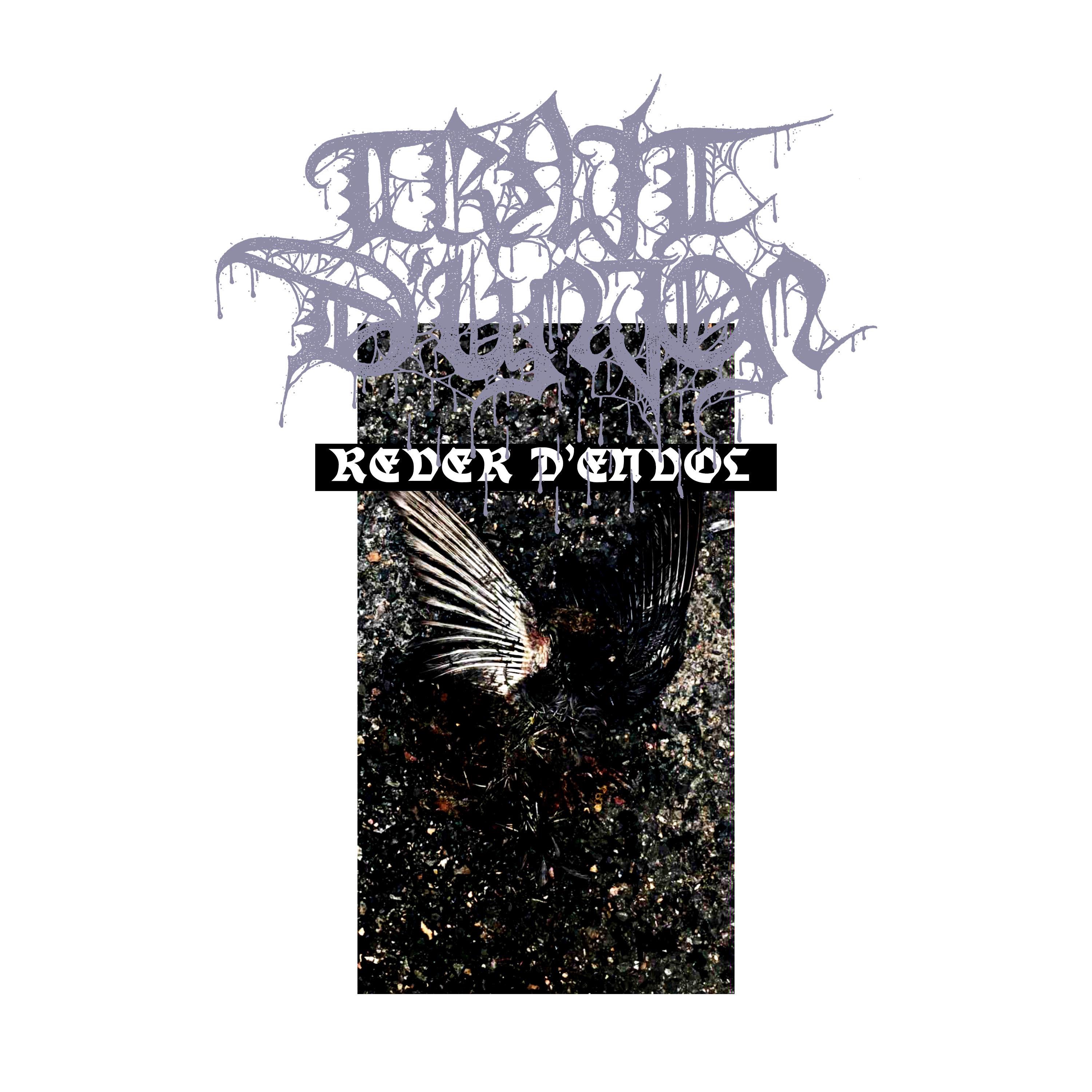 rêver d'envol - Single