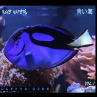 Blue Waters - Oceanside85