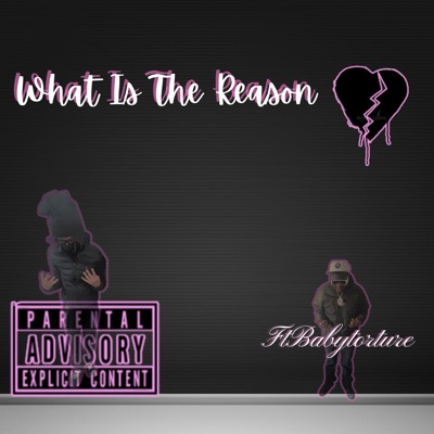 What Is The Reason (feat. Datybswervyy) - Single
