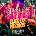 DADOS NEGROS