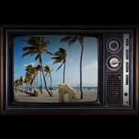 Hollywood - Single - Tropixal