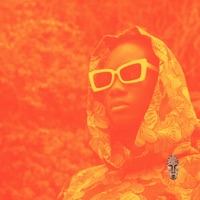 Chasing The Afros - Dj Papolo Produce & Bassbreaker