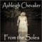 It Didn't Matter Babe (feat. Ron Holloway) - Ashleigh Chevalier lyrics