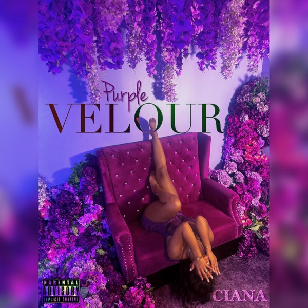 PURPLE VELOUR