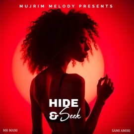 Hide & Seek (feat. Sami Amiri & Mr Mani) Mujrim Melody