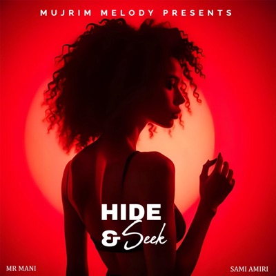 Hide & Seek (feat. Sami Amiri & Mr Mani) - Single