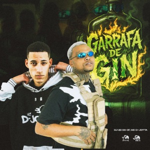 Garrafa de Gin