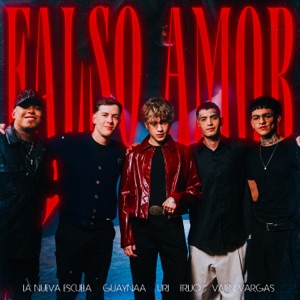 Falso Amor (feat. Frijo)