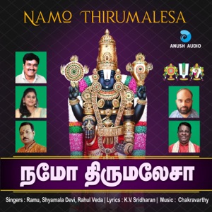 Namo Thirumalesa - Single