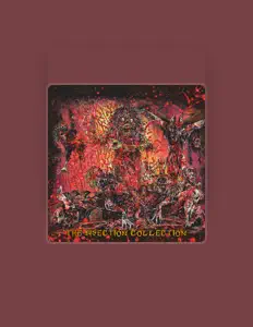 Ascolta Terrorpy, guarda video musicali, leggi la biografia, vedi le date del tour & altro!