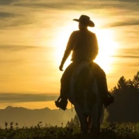 wild west - Single - Rubi Wei