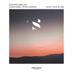 What Love Is Like - Single