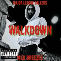 WALKDOWN EP - EP