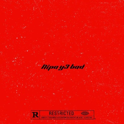 NIPA Y3 BAD - Single