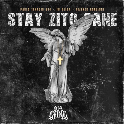 Stay zito cane (feat. PABLO IGNACIO 014, Vizenzo Korleone & 014 GANG) - Single