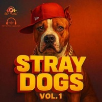 STRAY DOGS, Vol. 1 (feat. CABU, Santi king, Aterrante, Letal max, Mr William, Valentino flow, YAIL EL FLOW INMINENTE, KENNEDY, BLAST, El maick & Gabiinho 507) - EP - STRAY DOGS