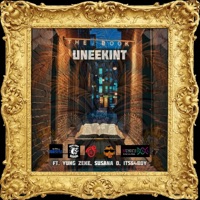 The book - Uneekint