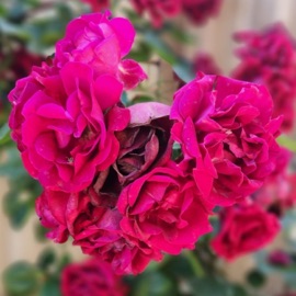 You Left Me Waiting by the Lake v2 (feat. 2nd in Command) Marcus Lee