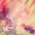 Everything Dark is Light
