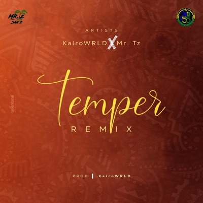 Temper (feat. Mr.Tz) [Remix] - Single