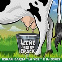 Leche Eres un Crack - Single - Osmani Garcia 