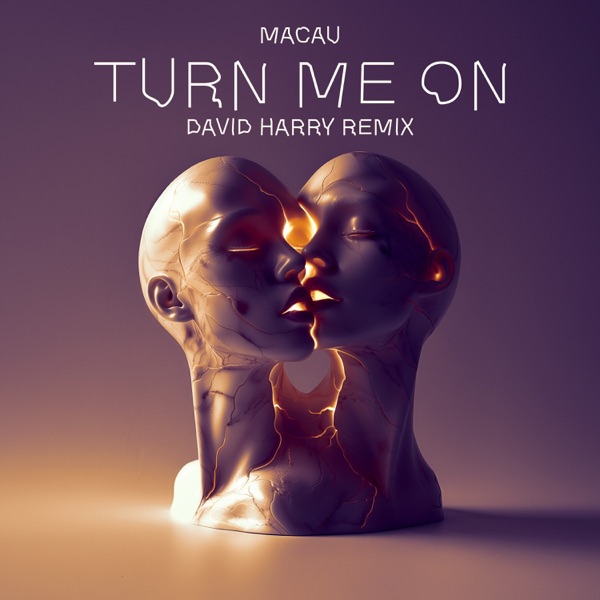 TURN ME ON (David Harry Remix) - Single
