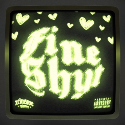 Fine Shyt - Single