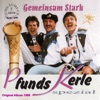 Oh Du Mein Alphorn