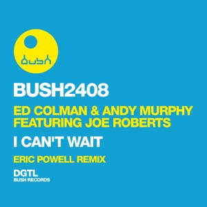 I Can't Wait (feat. Joe Roberts) [Eric Powell Remix] - Single