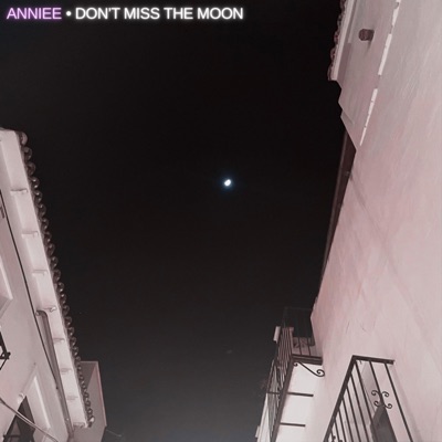 Don't Miss The Moon - Single