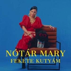 Fekete kutyám