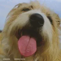 The Great Galleon — Songdog