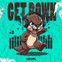 Get Down - Single - Viidra