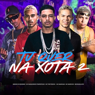 Tu Quer na Xota 2 (feat. MC Marquinhos Tempestade, Mc Xande Rd & MC Manogab) - Single
