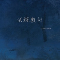试探敷衍 - Single - 王忻辰 & Xingjie Su