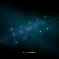 Flies Under Water - Single - Marco Grenier