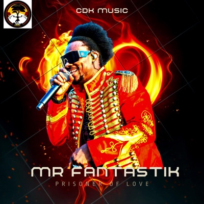 Mr Fantastik