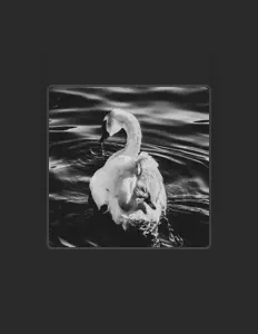Ouve Pacifier, vê vídeos de música, lê a biografia, vê as datas da digressão e muito mais!