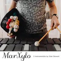 MarXylo