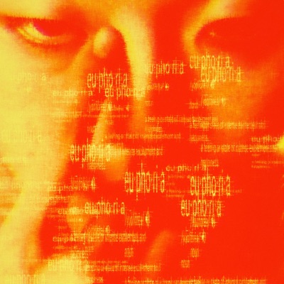 Burning Euphoria (feat. SHELOVE9) - Single