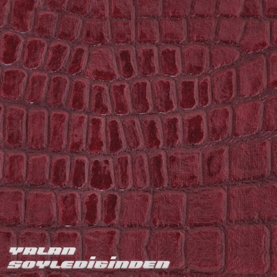 YALAN SÖYLEDİĞİNDEN - Single