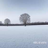 Willie Sees Green 17 Degrees (11Eleven Remix) - Single - 11Eleven
