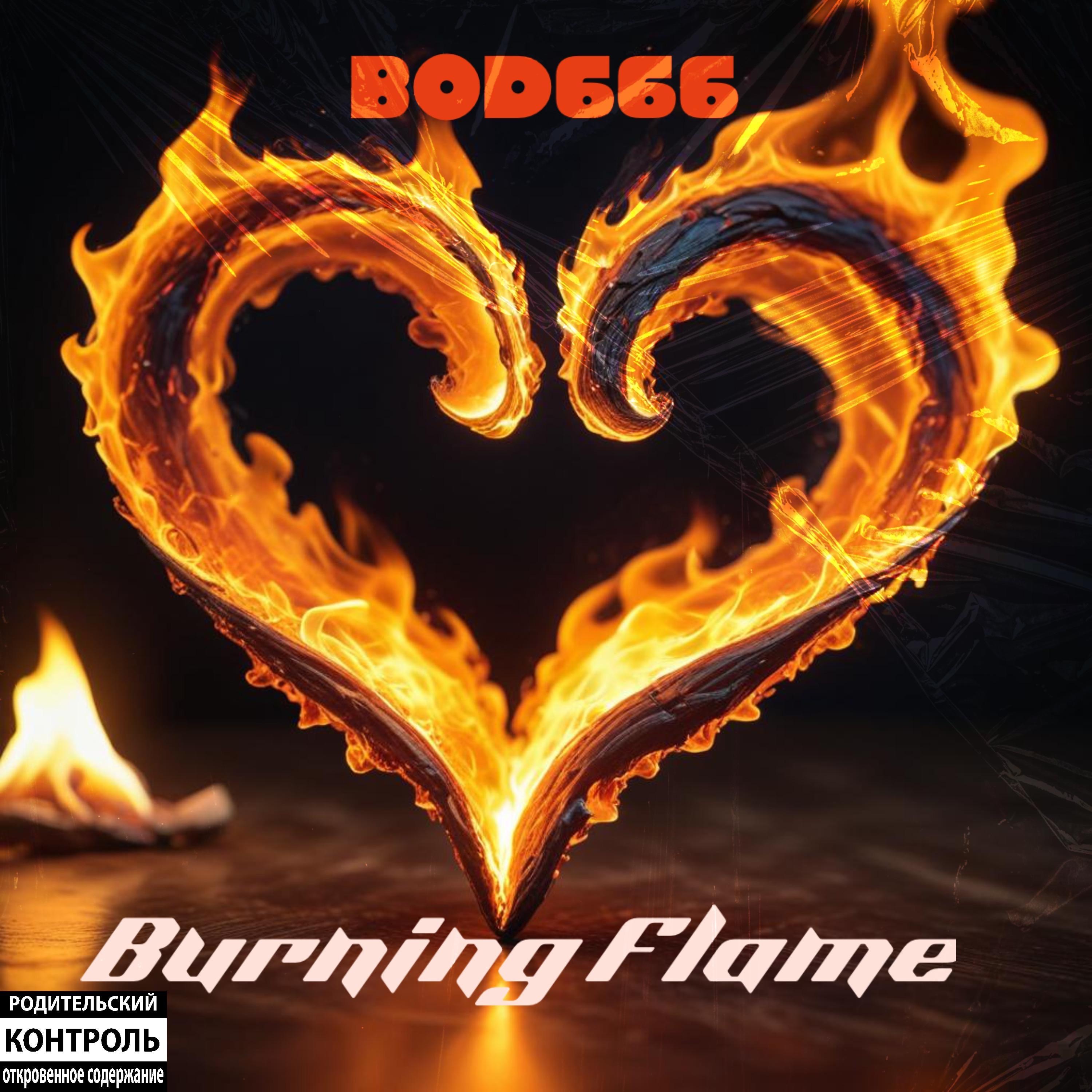 Burning Flame - Single