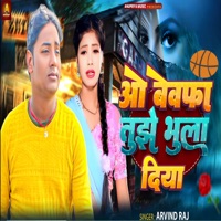 O Bewafa Tujhako Bhula Diya - Single - Arvind Raj